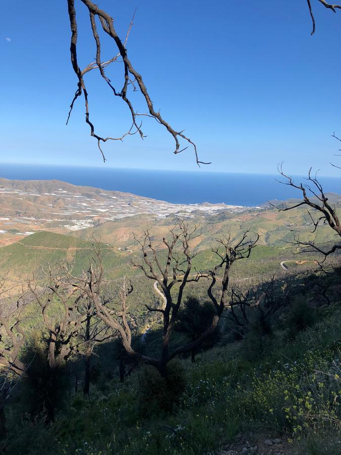 Cortijo Sancardo Pensionat Lujar Eksteriør billede